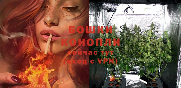 PSILOCYBIN Новокубанск