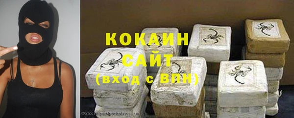 молекула духа Няндома