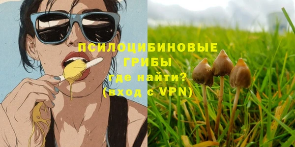 PSILOCYBIN Новокубанск