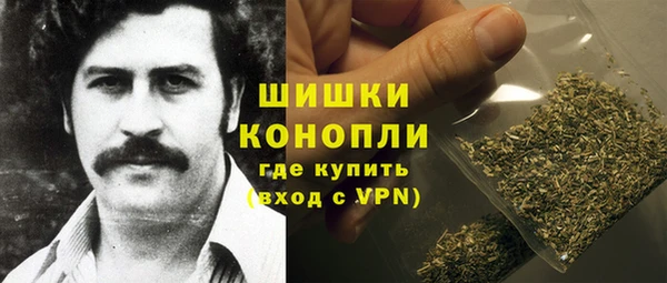 ГАЛЛЮЦИНОГЕННЫЕ ГРИБЫ Новодвинск
