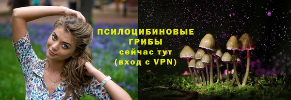 ГАЛЛЮЦИНОГЕННЫЕ ГРИБЫ Новодвинск