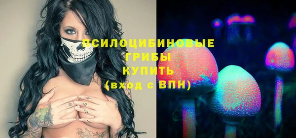 кокаин колумбия Новозыбков