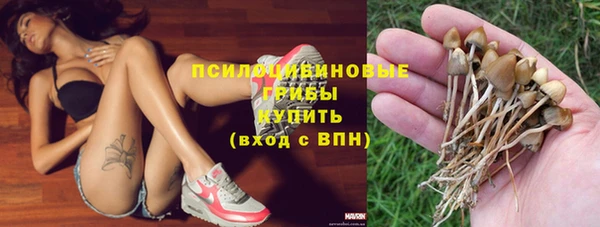 PSILOCYBIN Новокубанск