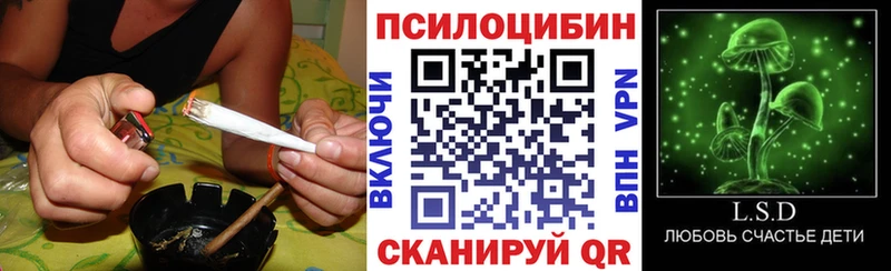 Псилоцибиновые грибы Psilocybine cubensis  где купить наркоту  hydra вход  Фокино 
